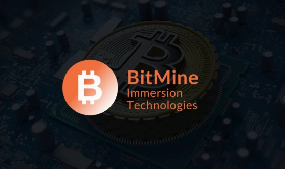 BitMine百亿回购难挽颓势 股价跌幅收窄至9%