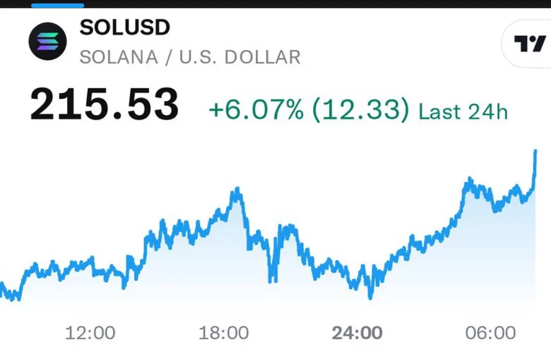 SOL价格突破215美元创206天新高 单日涨幅达6.07%